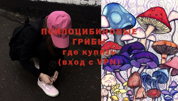 гашик Магас