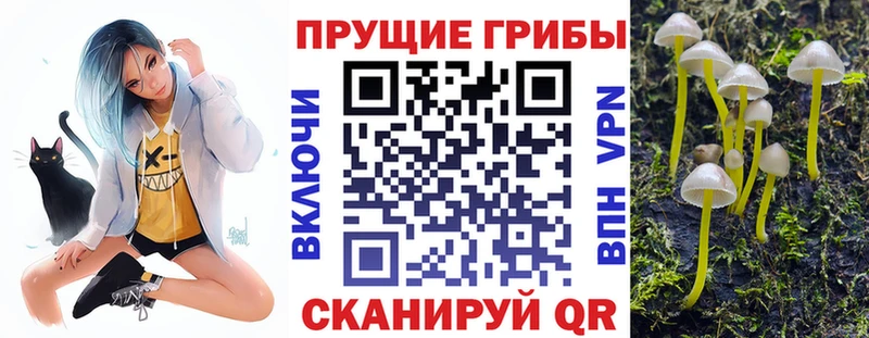 Псилоцибиновые грибы Magic Shrooms  mega tor  Плёс 
